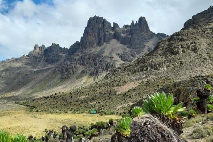 Private Day Tour to Mount Kenya from Nairobi