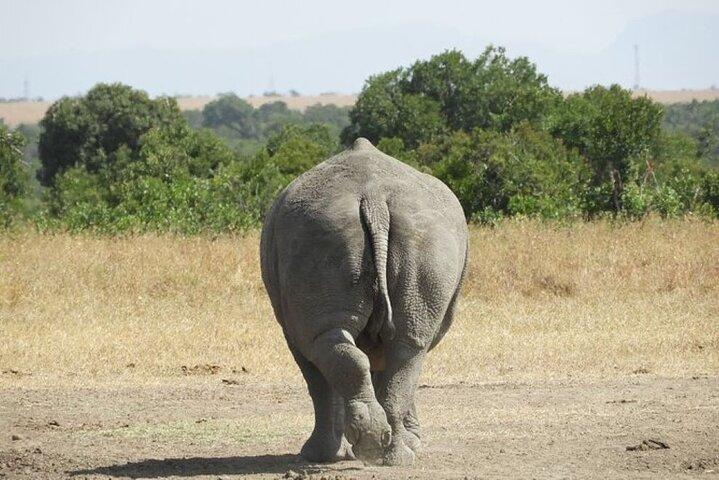 Private Day Tour to Ol Pejeta Conservancy from Nairobi