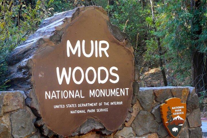 San Francisco Excursion: Guided Tour to Muir Woods and Sausalito