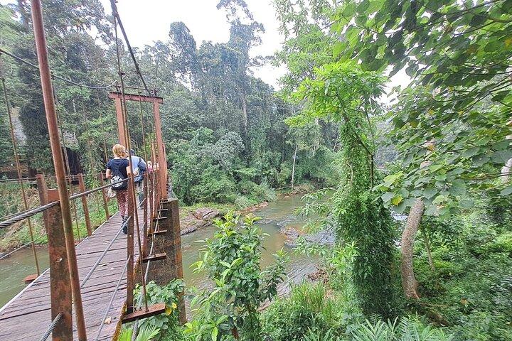 Sinharaja Rainforest Trip