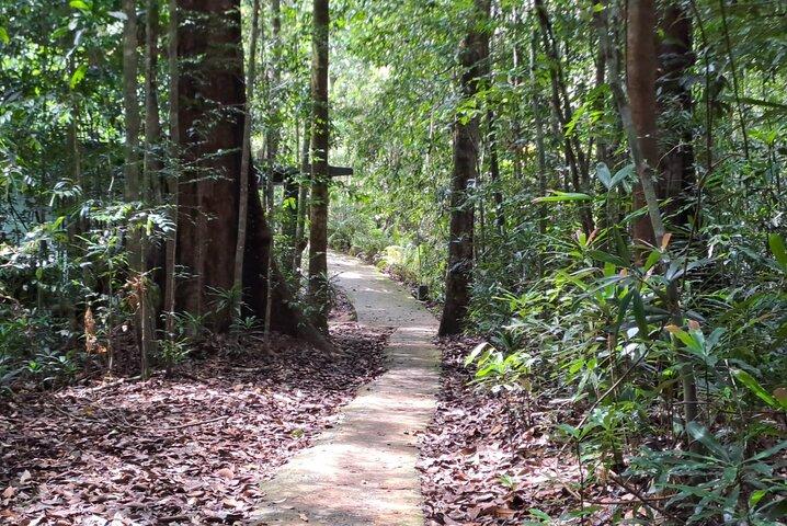 Sinharaja Rainforest Trip