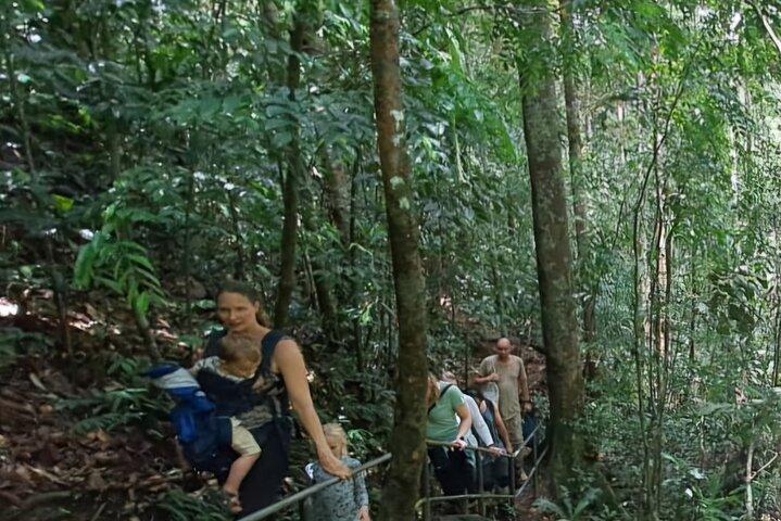 Sinharaja Rainforest Trip