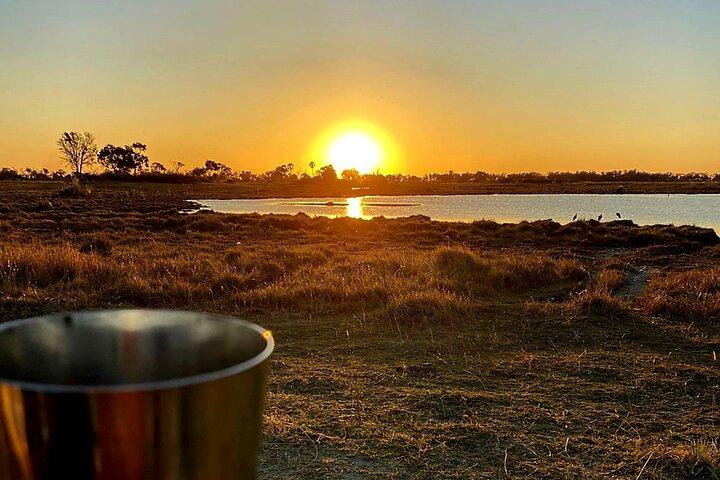 Okavango Delta Day Trip