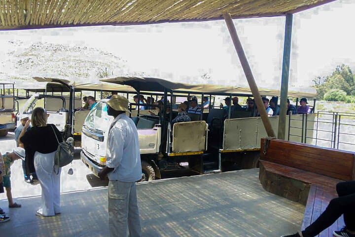 Big5 Wildlife Game Reserve Safari with wine tasting Transport