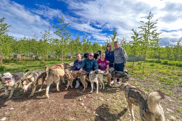 Sled Dog Kennel Tour