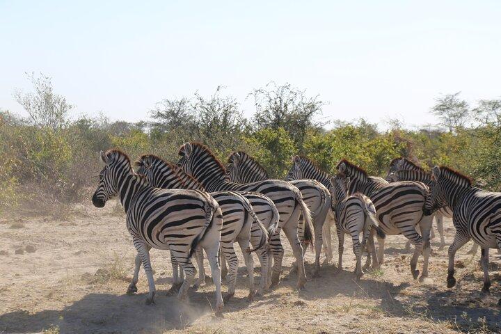 5-Day Ultimate Triple Country Safari: Zimbabwe, Zambia & Botswana