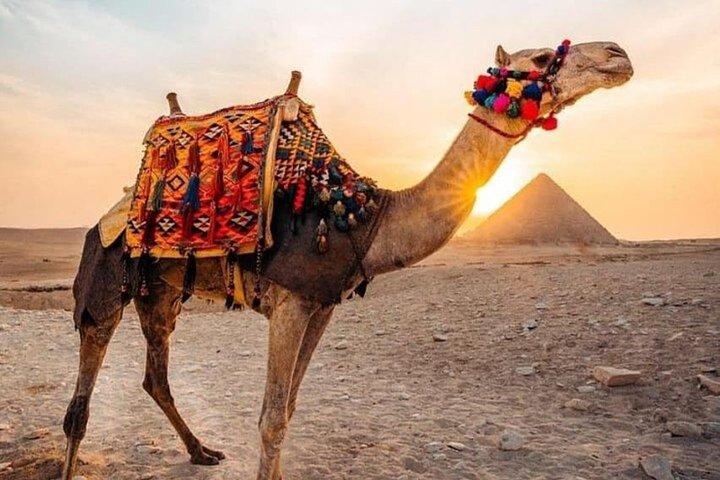 Half Day To Giza Pyramids with Hotel pickup