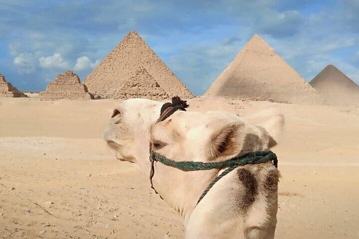 Half Day To Giza Pyramids with Hotel pickup