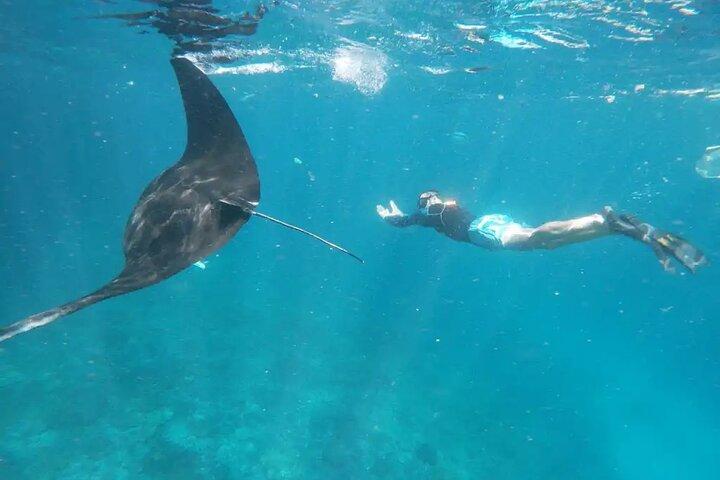 Nusa Penida Snorkeling 3 Point with Manta Bay & Land Tour