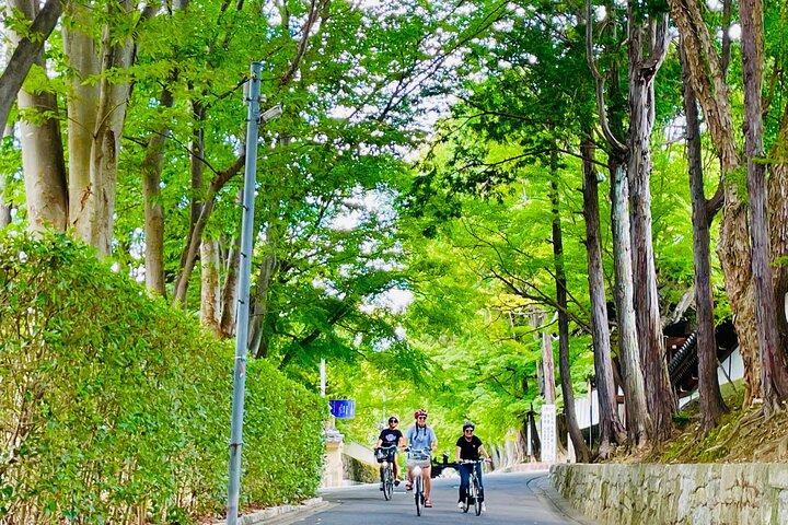 Pedal Adventure Kyoto's iconic landmarks on an e-bike tour
