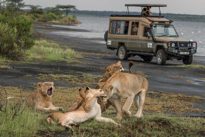 Private 6-Day Great Migration Ndutu Serengeti Safari Tour