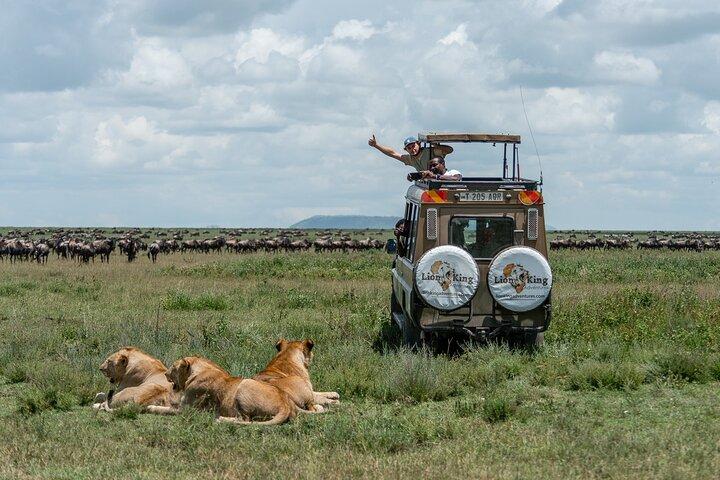 Private 6-Day Great Migration Ndutu Serengeti Safari Tour