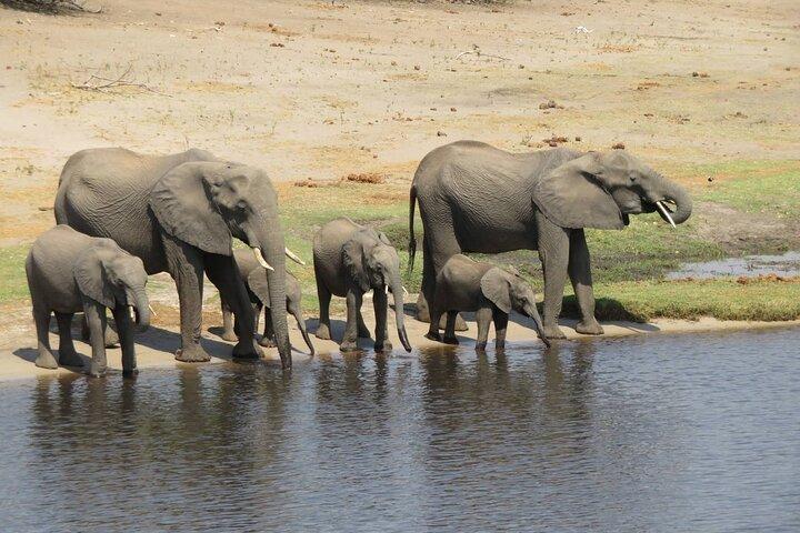 Full Day Safari Experience Chobe National Park in Botswana