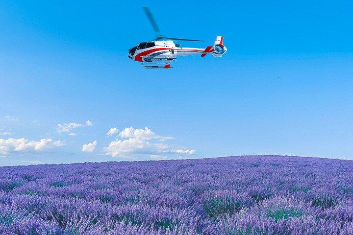 Shared Monaco Helicopter Panoramic Tour