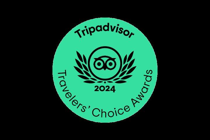Tromsø: Northern Lights by Minibus - Free Photos and Warm Dinner