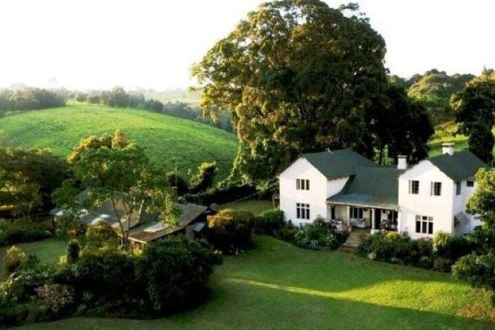 Day Tour to Kiambethu Tea Farm