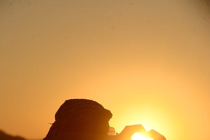 Marsa Alam: Desert Stargazing Tour with Camel Ride & Dinner