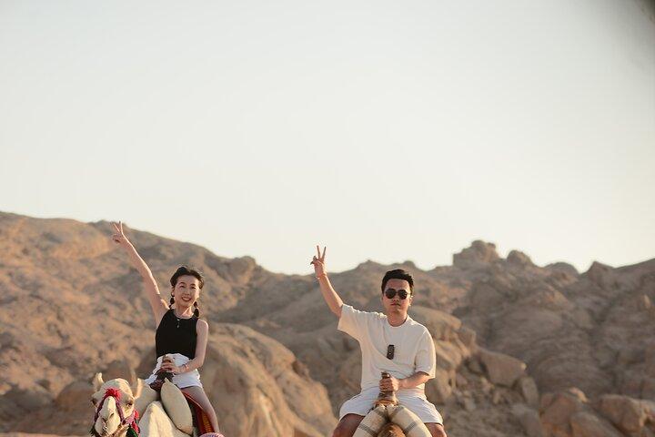 Marsa Alam: Desert Stargazing Tour with Camel Ride & Dinner
