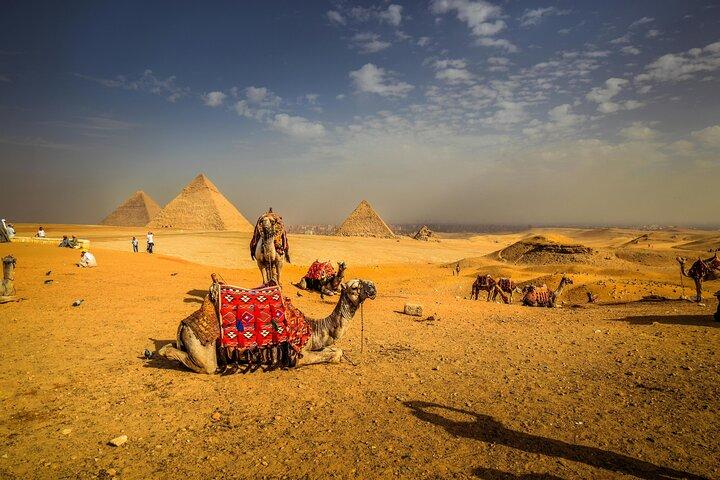 Explore Pyramids, Camels and Authentic Egyptian Food in Giza