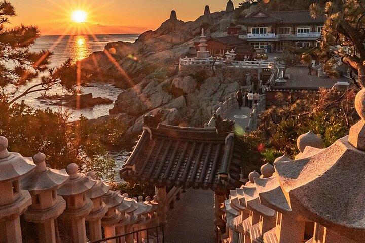A Comprehensive Small-Group Busan Tour with Hotel Pickup