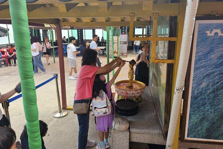 A Comprehensive Small-Group Busan Tour with Hotel Pickup