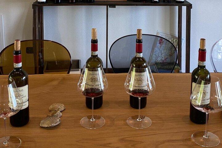 Private tour: discover Langhe wines with expert sommelier