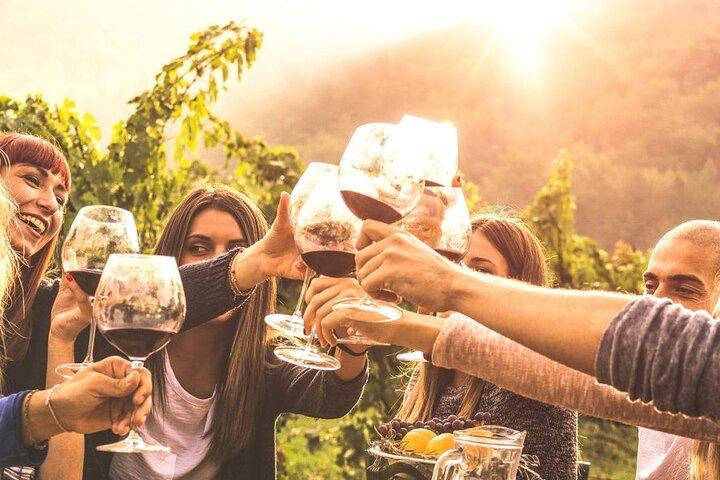 Private Day Trip Mendoza Wineries (Opt Airfare from Buenos Aires)