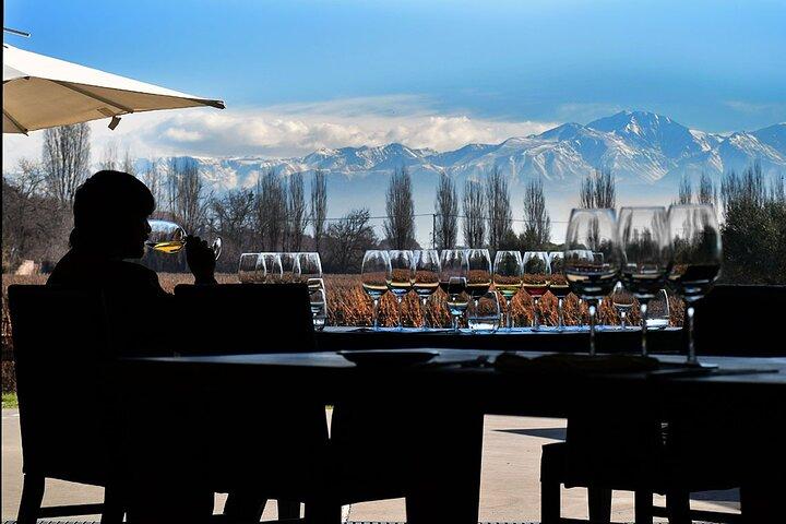 Private Day Trip Mendoza Wineries (Opt Airfare from Buenos Aires)