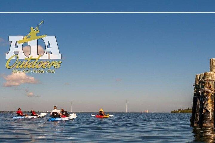 Self-Guided Kayaking Manatee and Dolphin Tour