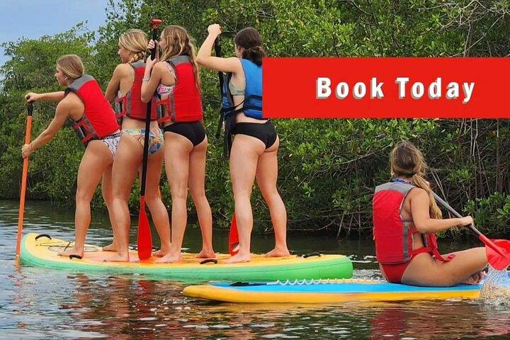 Self-Guided Kayaking Manatee and Dolphin Tour