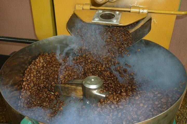 Costa Rican Coffee, Chocolate and Sugar Cane Activity