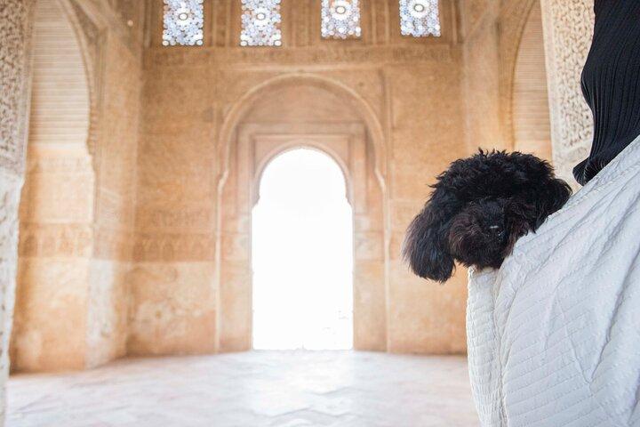Alhambra Day or Night Private Tour