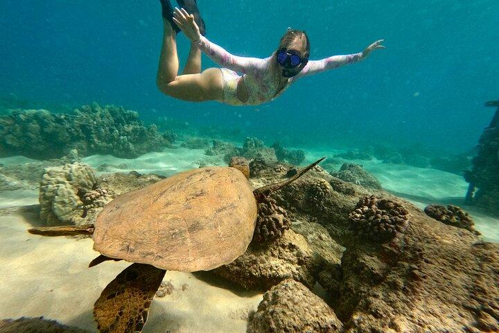 San Juan Guided Turtle Snorkel Tour and Complimentary Videos