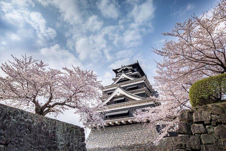 Kumamoto Castel, Mount Aso and Kusasenrigahama Tour from Fukuoka