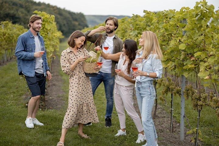 Private Day Trip Mendoza Wineries (Opt Airfare from Buenos Aires)