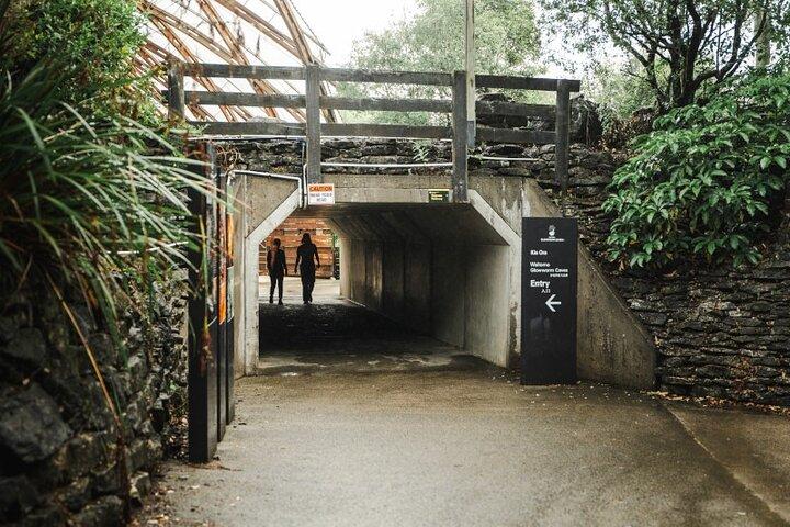 Glowworm Caves & Hamilton Gardens Day Tour from Auckland