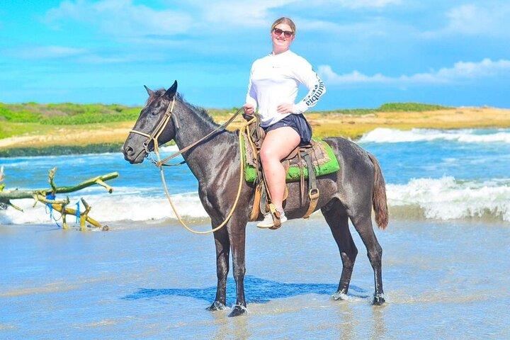 Horseback Riding on the Beaches Fields and Forests of Punta Cana