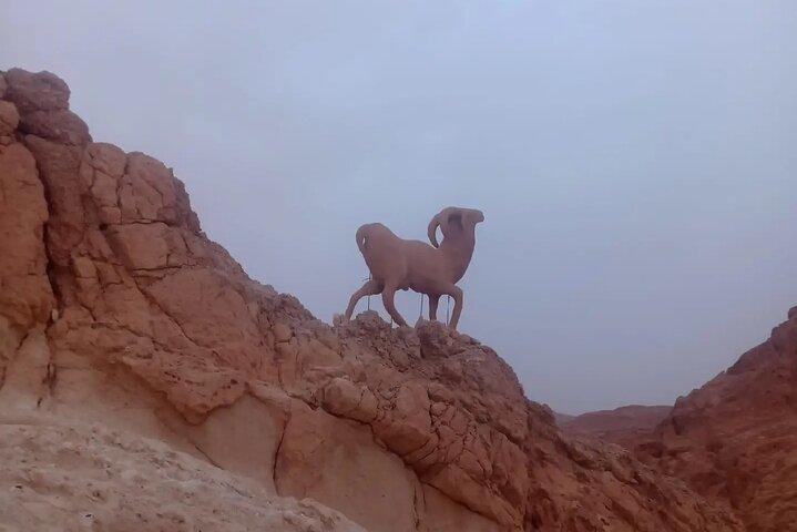 2 Days Tour of the Sahara from Hammamet