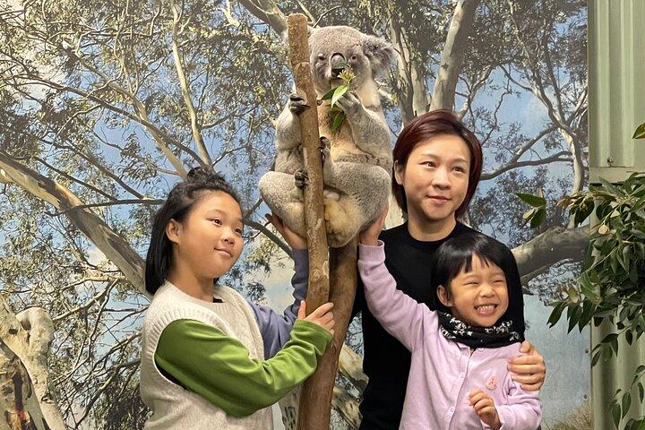Private Day Trip to Featherdale, Scenic World and Three Sisters