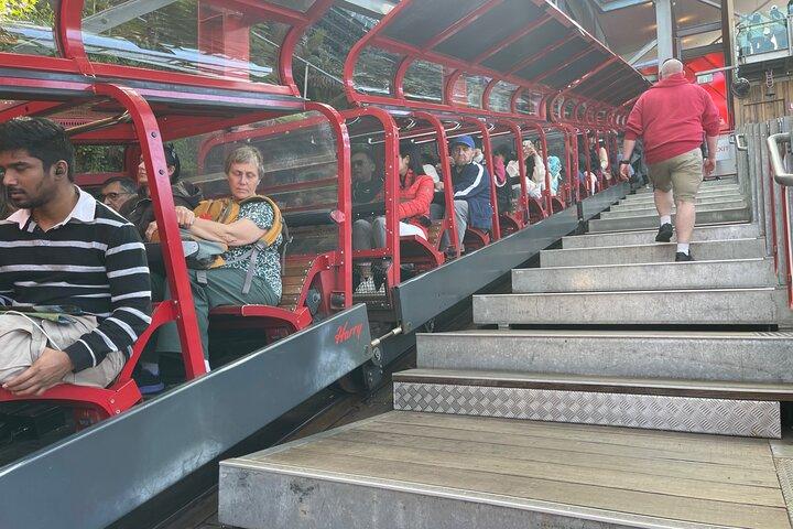 Private Day Trip to Featherdale, Scenic World and Three Sisters