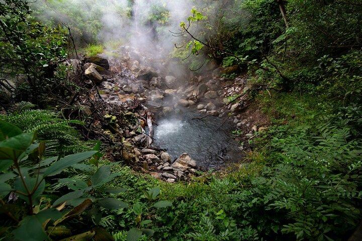 Rincon de la Vieja Volcano Guided Hike