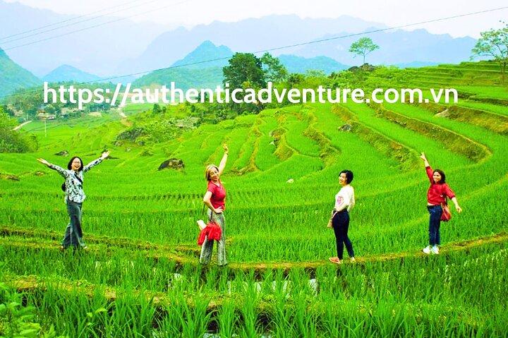 9-Day Vietnam Tour | Explore the North and Central | Top Packages