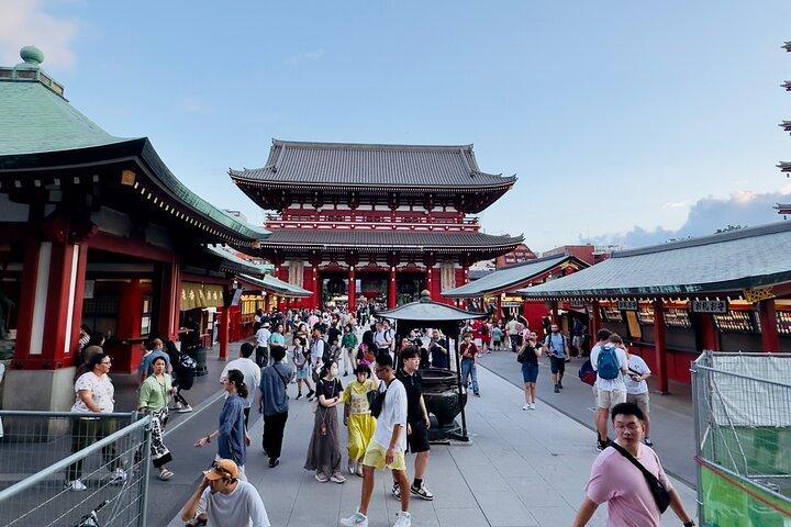 Tokyo private tour with English speaking driver