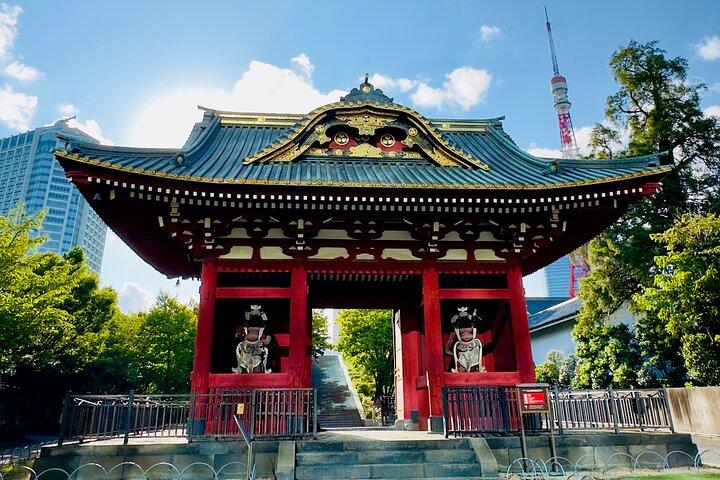 Tokyo private tour with English speaking driver