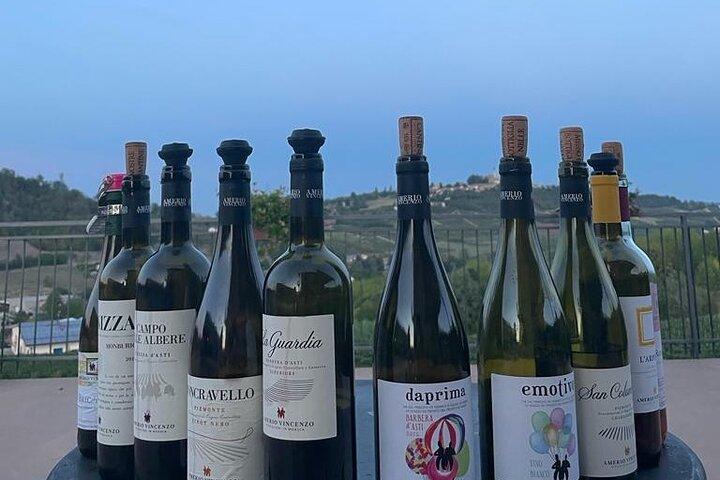 Langhe and Monferrato Wine Tasting with the Producer