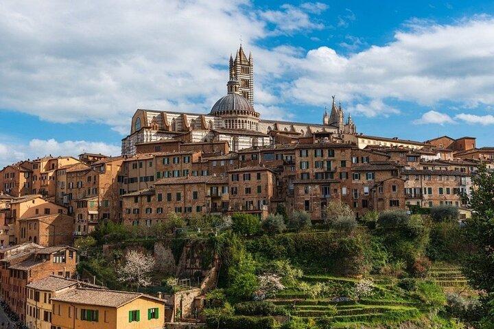 Exclusive Tour from Florence: Siena, Chianti and San Gimignano