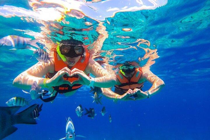 Crystal-clear Boat trip & Snorkeling tour