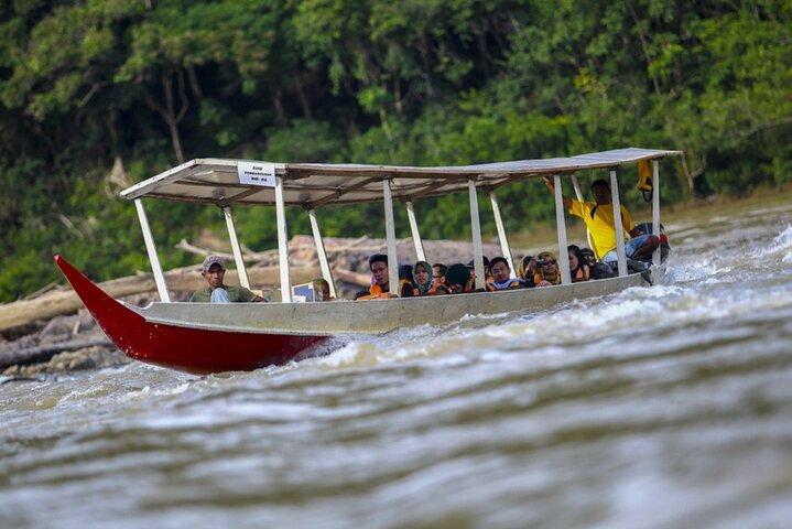 Taman Negara National Park Day Excursion from Kuala Lumpur