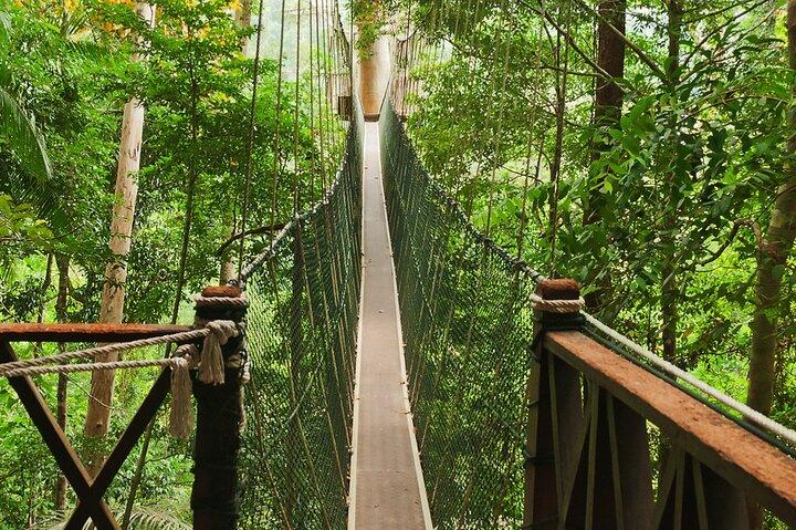 Taman Negara National Park Day Excursion from Kuala Lumpur
