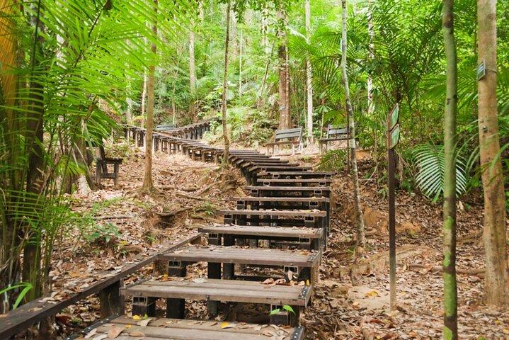 Taman Negara National Park Day Excursion from Kuala Lumpur